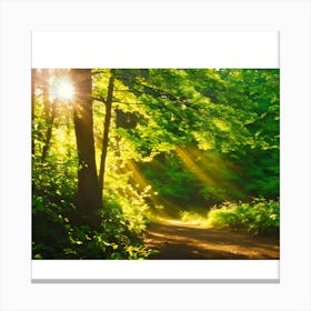 Sunbeams In The Forest 1 Canvas Print