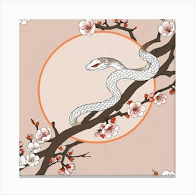 Chinese Snake In Cherry Blossoms Canvas Print