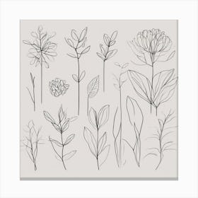 Doodles Of Plants Canvas Print