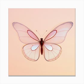 Butterfly 11 Canvas Print