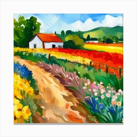 Daffodil Field Canvas Print