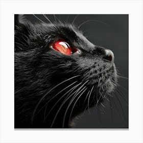 Black Cat With Red Eyes Canvas Print