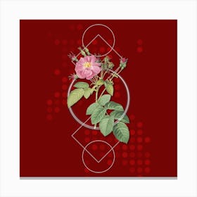 Vintage Harsh Downy Rose Botanical with Geometric Line Motif and Dot Pattern Canvas Print