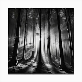 Dark Forest 23 Canvas Print