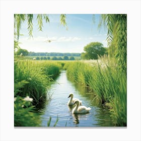 Wallpaper Capturing A Serene Summertime Countryside Two Cygnets Navigating A Vibrantly Green Stream Canvas Print