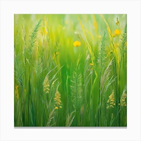 Green Grass With Yellow Flowers Canvas Print