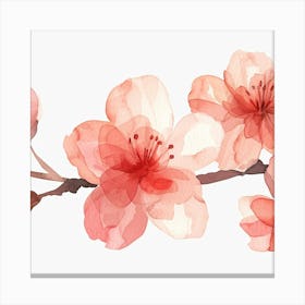 Watercolor Cherry Blossoms 2 Canvas Print