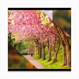 Cherry Blossoms Canvas Print