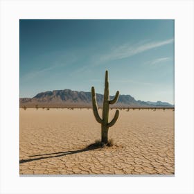 Cactus In The Desert Canvas Print