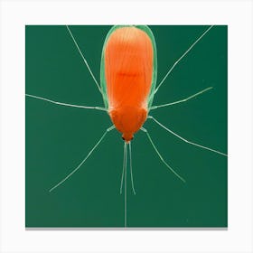 Mosquito - Mosquito Stock Videos & Royalty-Free Footage Canvas Print