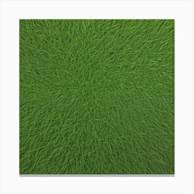 Green Grass Background 12 Canvas Print