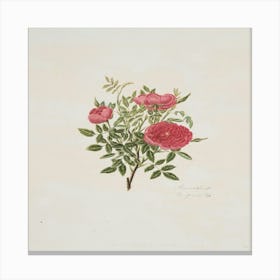 Roses On A Branch Canvas Print