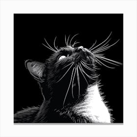 Black And White Cat Looking Up Canvas Print