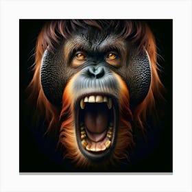 Portrait of Orangutan Canvas Print