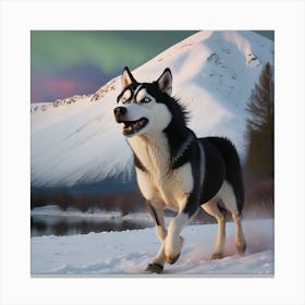 Husky Dog 1 Canvas Print