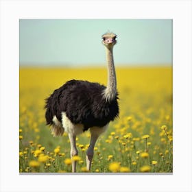 Ostrich In Wildflower Field 1 Canvas Print