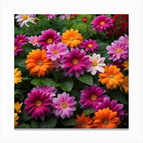 Dahlias 1 Canvas Print