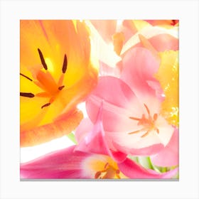 Tulips In A Vase Canvas Print