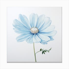 Blue Cosmos Canvas Print