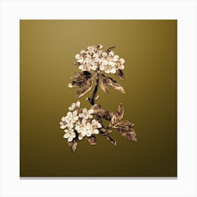 Gold Botanical Almond Leaved Pear on Dune Yellow n.4876 Canvas Print