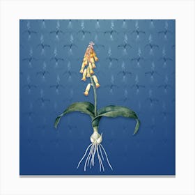 Vintage Watsonia Botanical on Bahama Blue Pattern Canvas Print