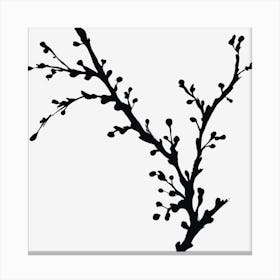 Ink Blossom Branch Isolated On Black Canvas Print