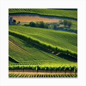 Vineyards In Tuscany 17 Canvas Print