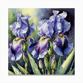 Iris In The Rain Canvas Print