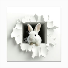 Rabbit In A Hole 1 Canvas Print