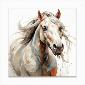 Horse close up Canvas Print