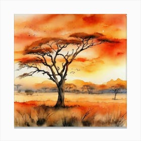 Acacia Tree Canvas Print