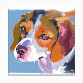 Beagle 02 Canvas Print