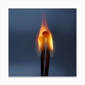 lets burn Canvas Print