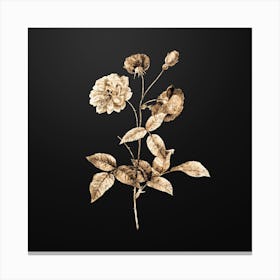 Gold Botanical China Rose on Wrought Iron Black n.2597 Canvas Print