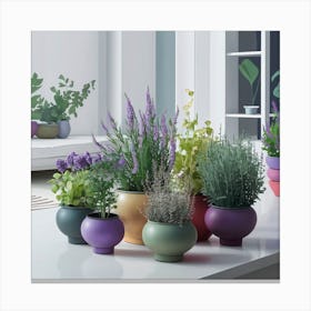 Potted Plants On A Table Canvas Print