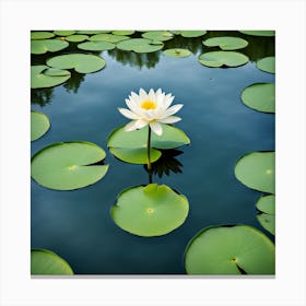 White Water Lily Canvas Print