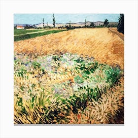 Wheat Field By Vincent Van Gogh 3 Stampe su tela