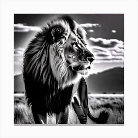 Lion In The Grass 1 Canvas Print