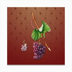 Vintage Grape Barbarossa Botanical on Falu Red Pattern n.2498 Canvas Print