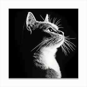 Cat Silhouette Canvas Print