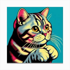 Scottish Shorthair Cat Canvas Print