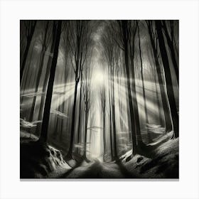 Dark Forest 20 Canvas Print