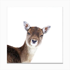 Deer Peekaboo White Square Canvas Print