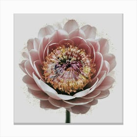 Lotus Canvas Print