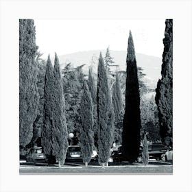 Toscana Parking Canvas Print