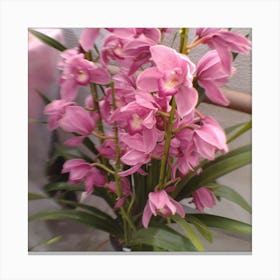 Pink Orchids 3 Canvas Print