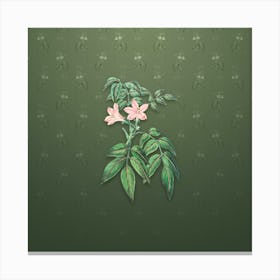 Vintage Turraea Pinnata Flower Botanical on Lunar Green Pattern n.1304 Canvas Print