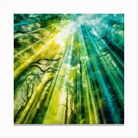 Forest Rays Canvas Print