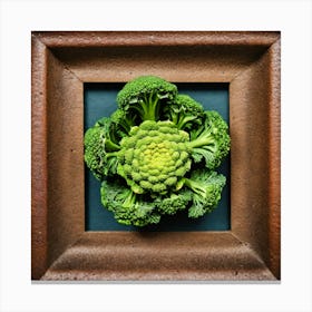 Broccoli In A Frame 15 Canvas Print