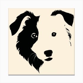 Border Collie portrait Canvas Print